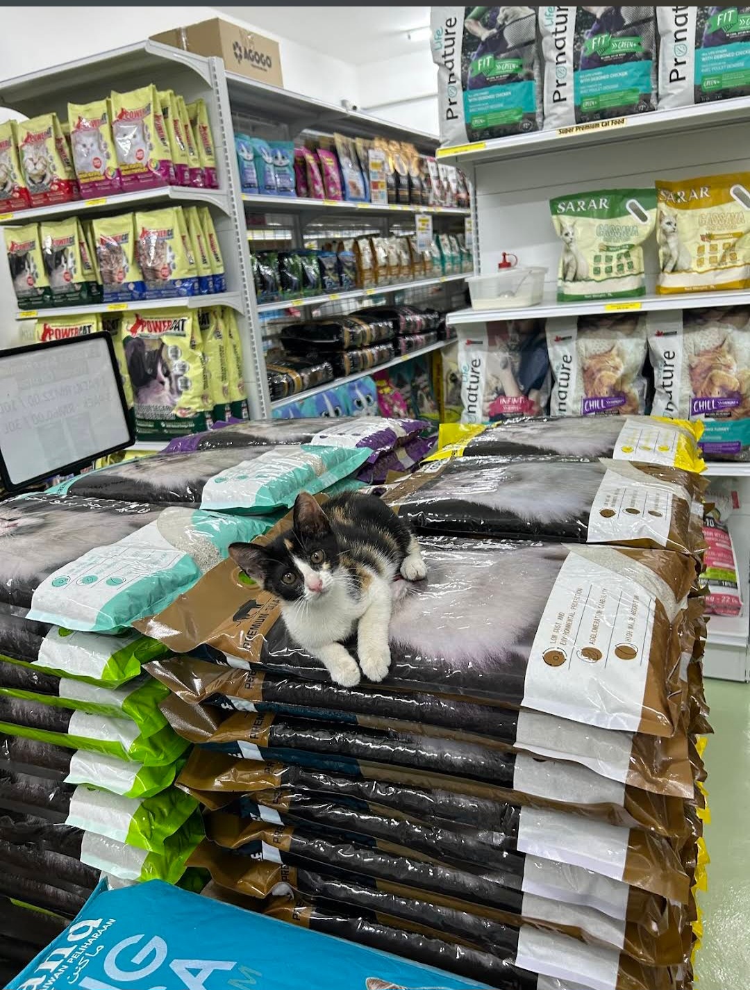 De PET SHOP — Environment, BUTTERWORTH, Pulau Pinang