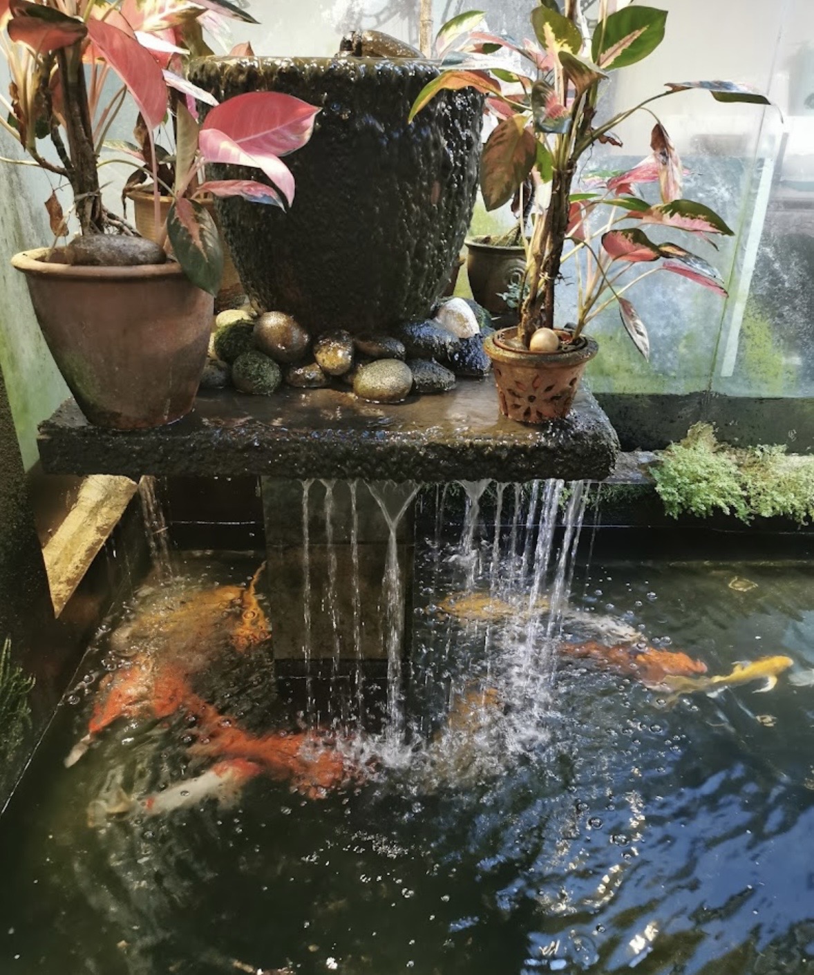 Lau Ee Home Kitchen — Environment, Ayer Itam, Pulau Pinang