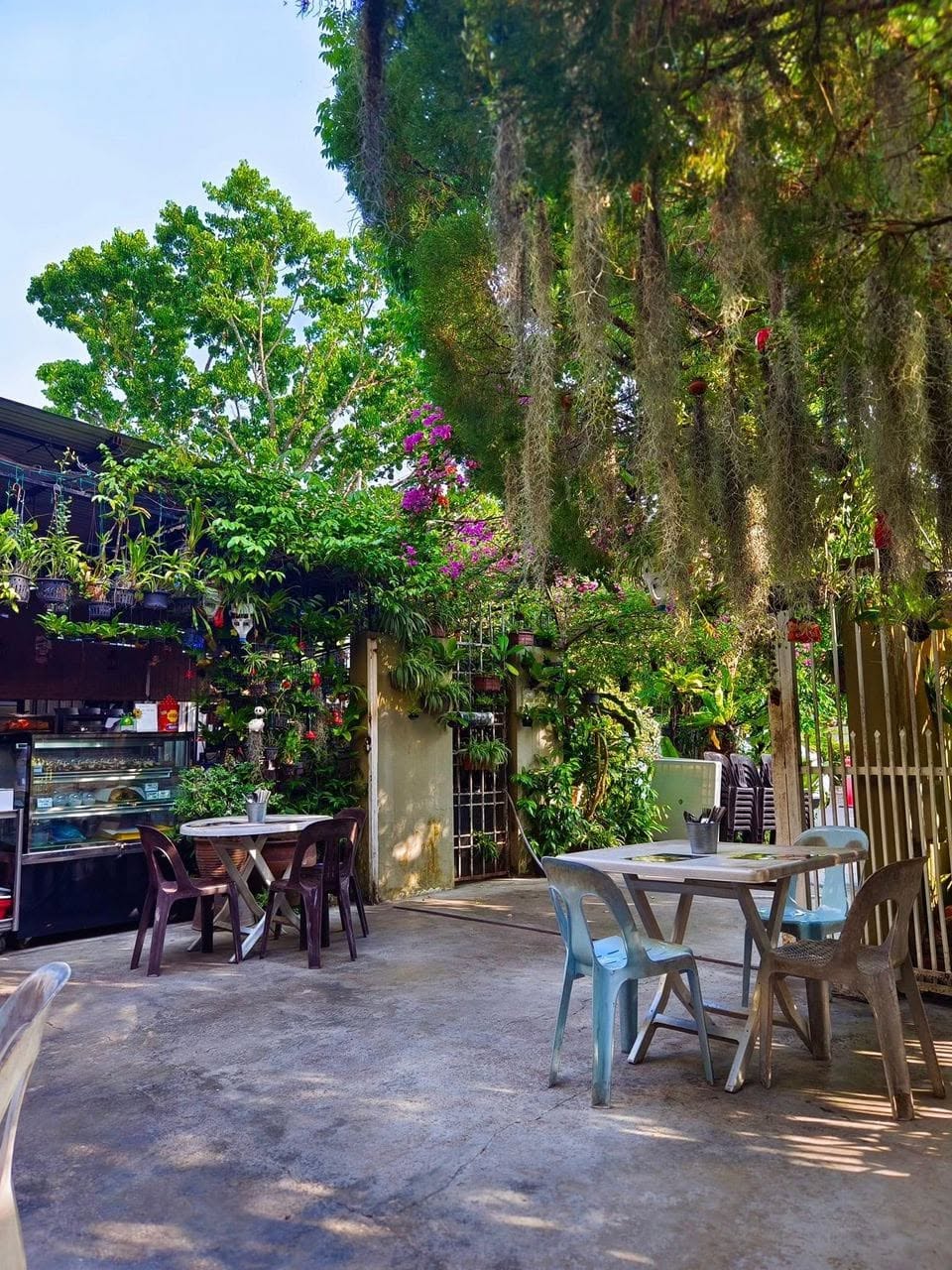 Yaw’s Roast & Grill — Environment, George Town, Pulau Pinang