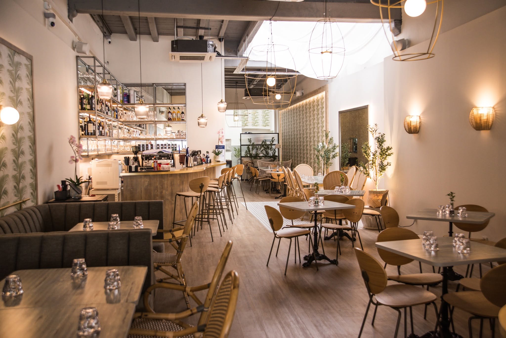 Choux Choux — Environment, George Town, Pulau Pinang