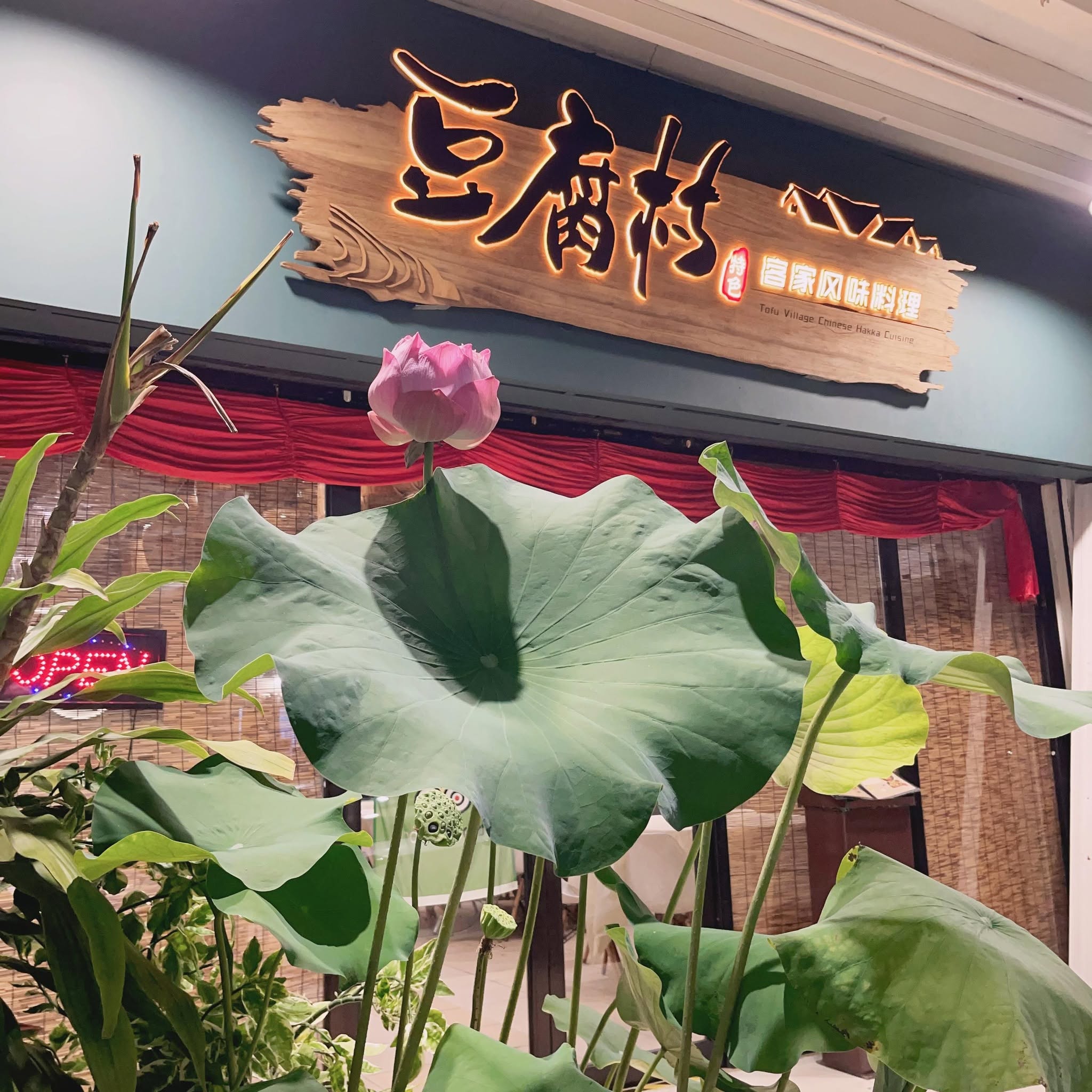 Tofu Village 豆腐村