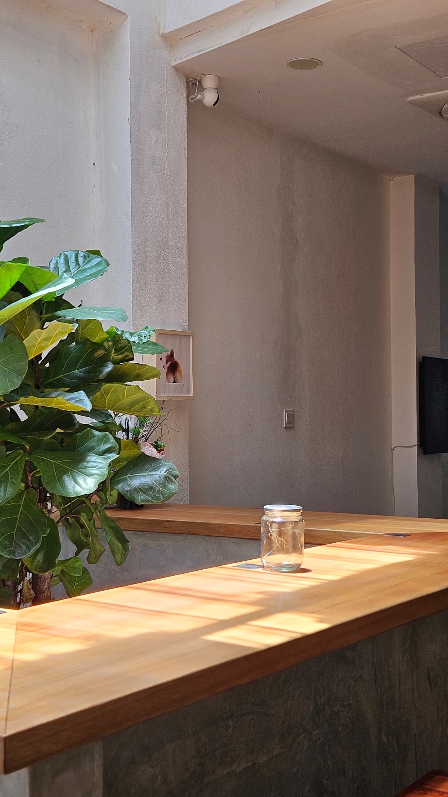Pizzahana — Environment, George Town, Pulau Pinang
