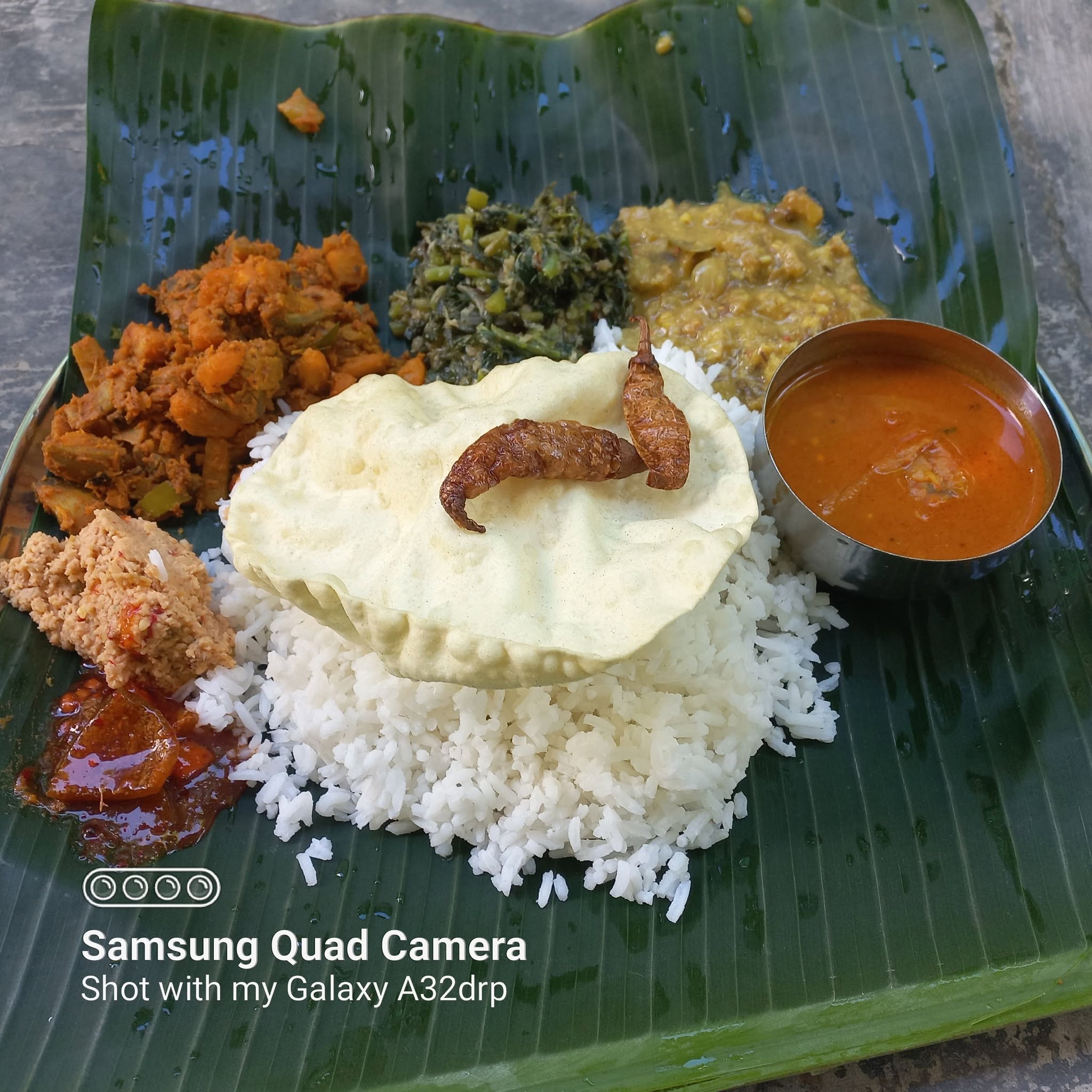 THE GARDEN BANANA LEAF — Food, George Town, Pulau Pinang