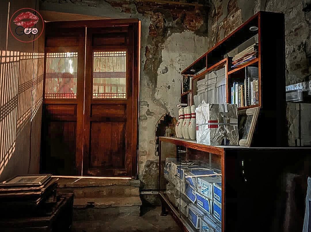 Lorong Gayo — Environment, George Town, Pulau Pinang
