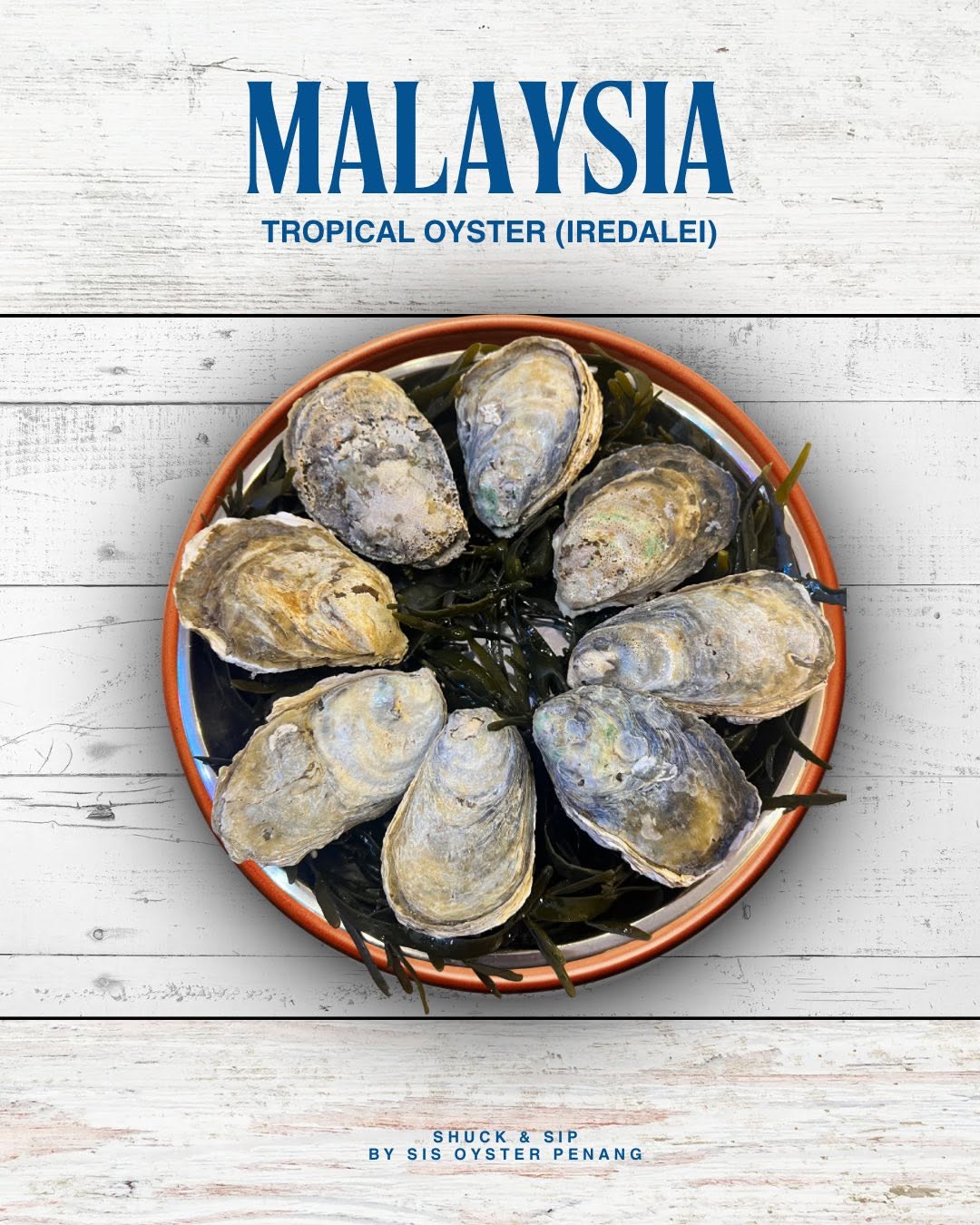 Shuck & Sip by Sis Oyster Penang — Food, George Town, Pulau Pinang