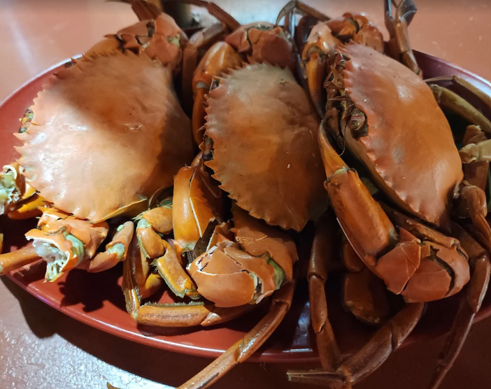 Musang 7 — Food, George Town, Pulau Pinang