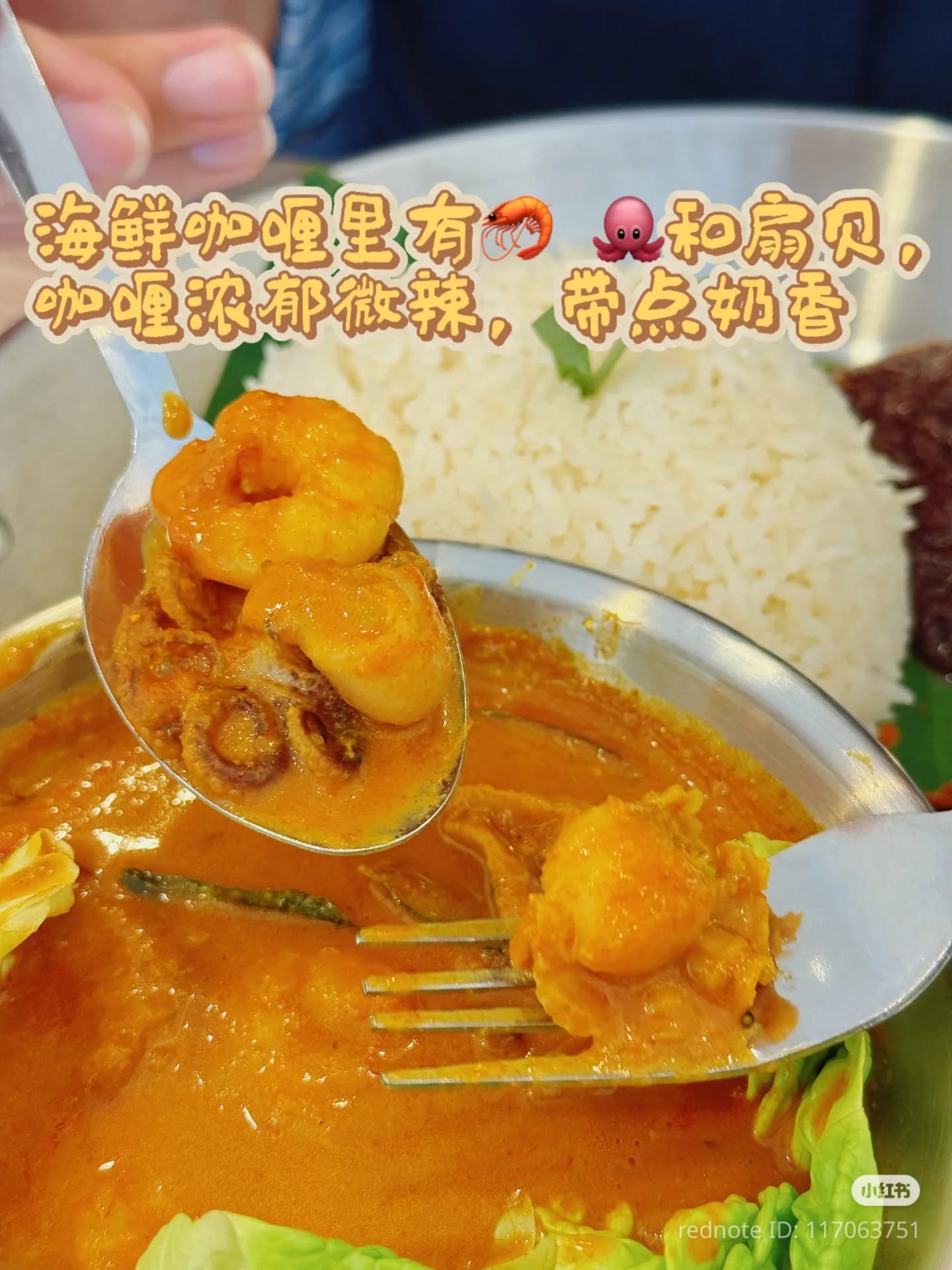 Spice & Spicy Nasi Lemak - Georgetown Penang — Food, George Town, Pulau Pinang