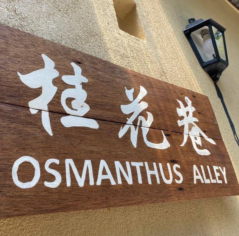 Osmanthus Alley's Echo