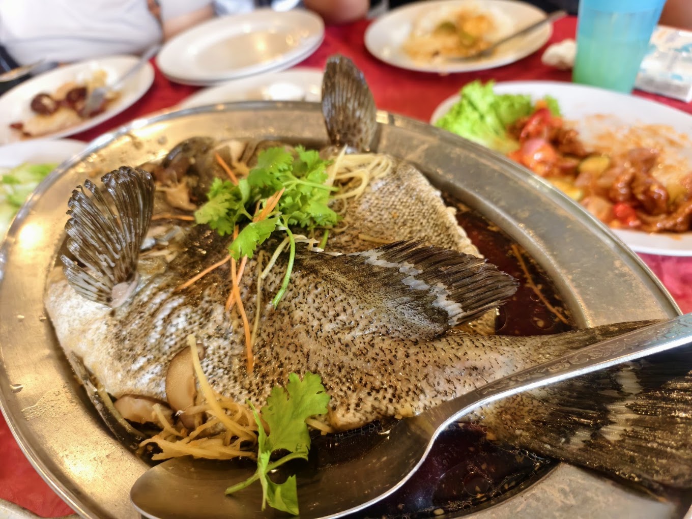 Northern Coastal Seafood (北海道) — Food, Butterworth, Pulau Pinang