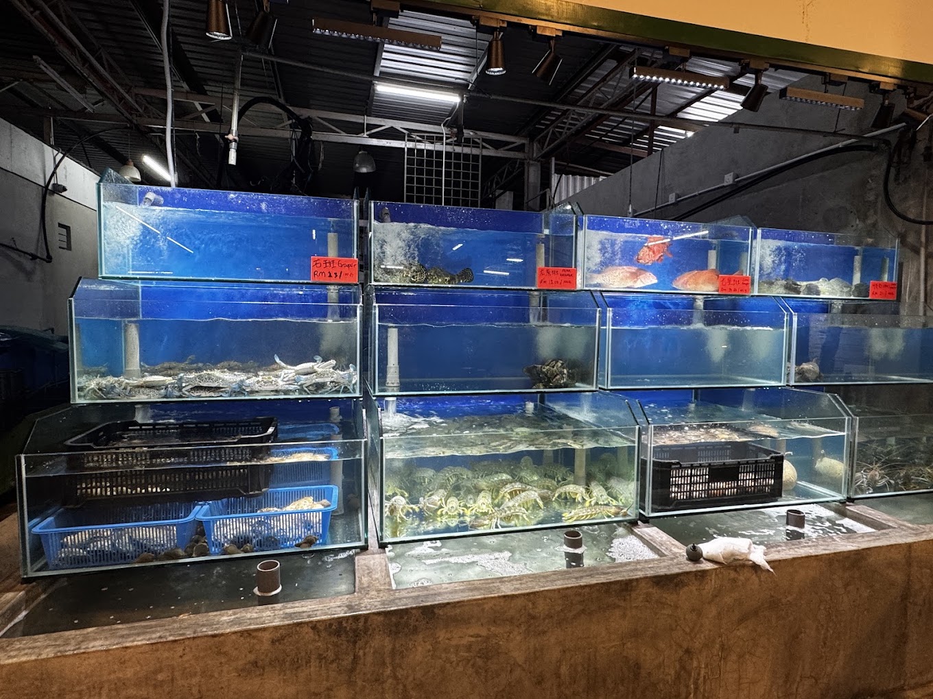 Northern Coastal Seafood (北海道) — Environment, Butterworth, Pulau Pinang