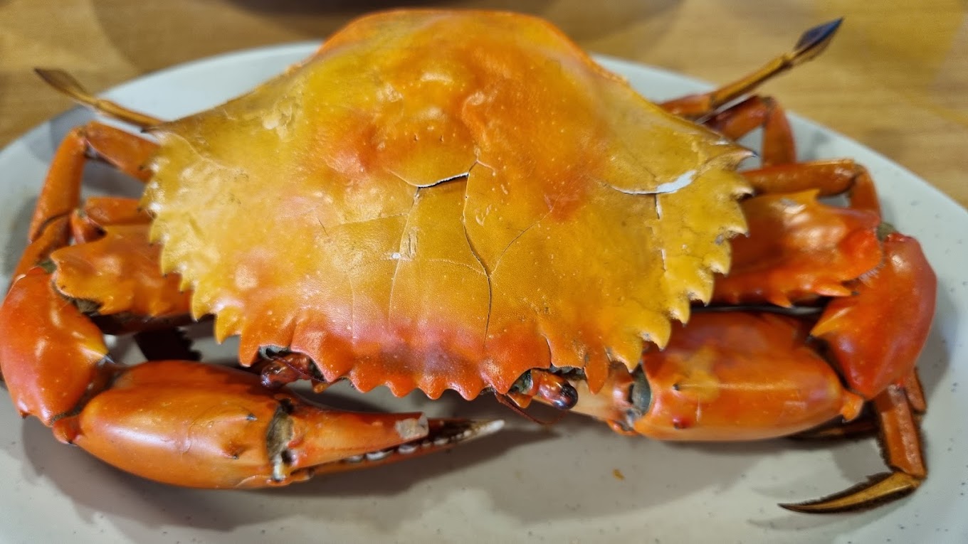 Northern Coastal Seafood (北海道) — Food, Butterworth, Pulau Pinang