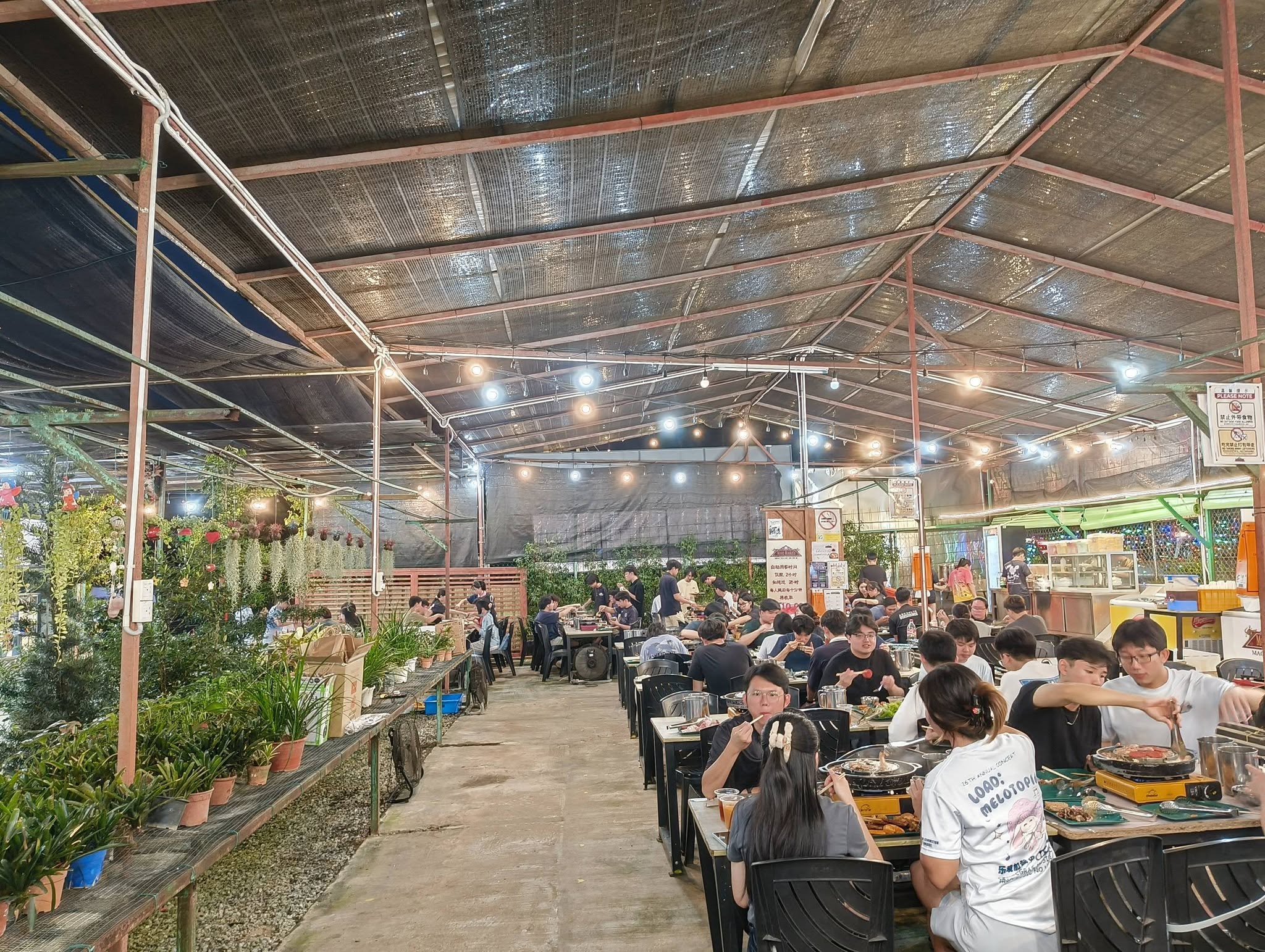 Chinchilla Mookata Machang Bubok — Environment, Bukit Mertajam, Pulau Pinang