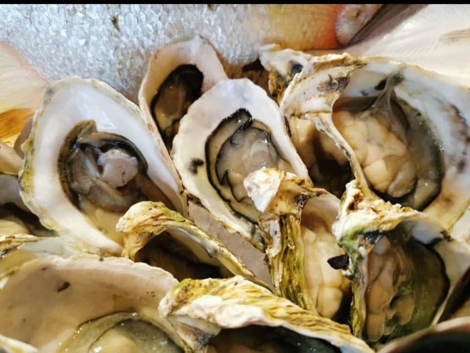 UMI Japanese Restaurant — Food, Teluk Kumbar, Pulau Pinang